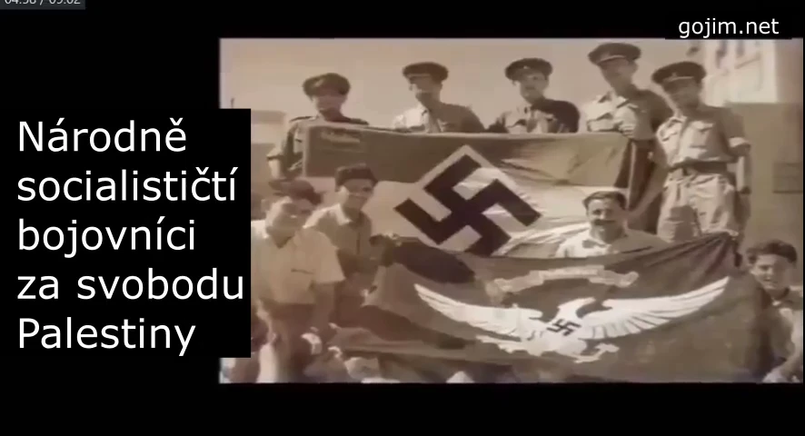 nacionalistická hnutí po celém světě