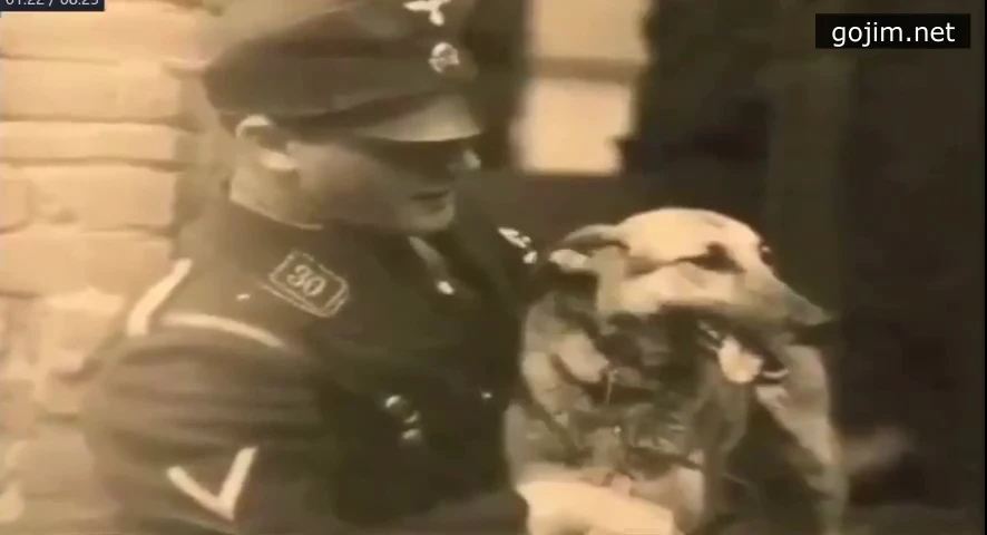nacisté a zvířata