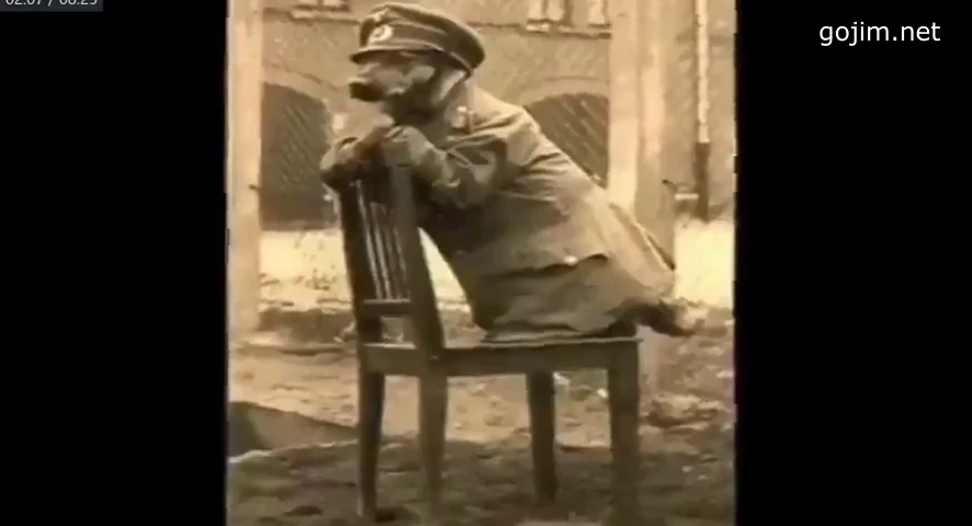 nacisté a zvířata