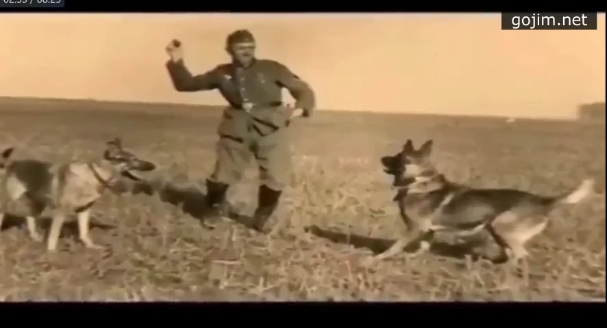 nacisté a zvířata