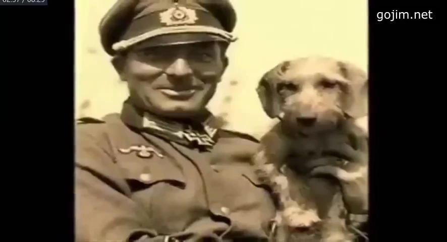 nacisté a zvířata